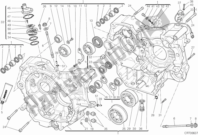 Tutte le parti per il Carter del Ducati Monster 796 Anniversary USA 2013